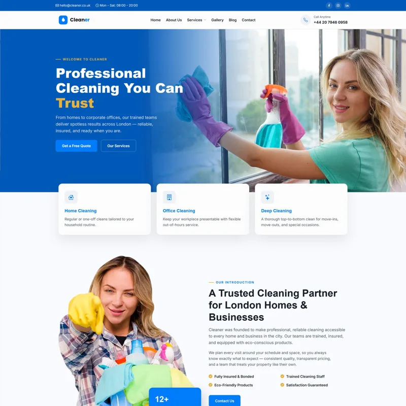 Cleaner önizleme
